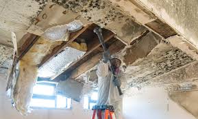 Best Residential Mold Inspection & Testing in Union, OH